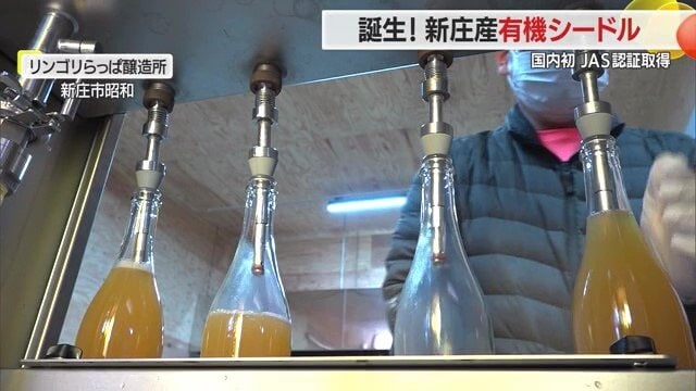 自前の醸造所で仕込まれていく有機シードル