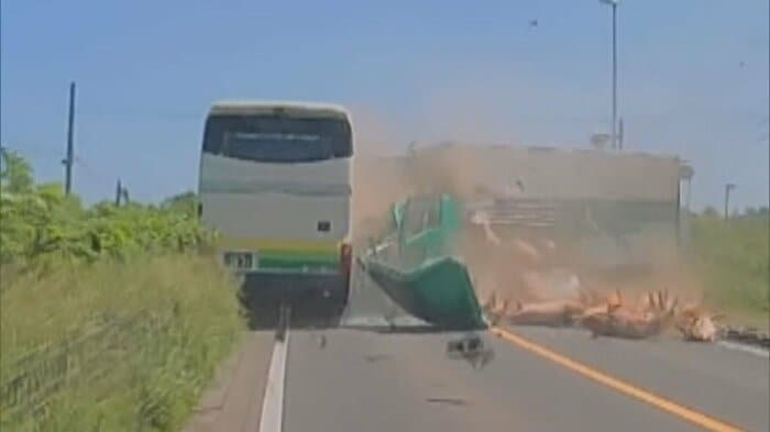衝突事故の瞬間。衝撃でトラックの荷台からブタが路上に放り出される様子も