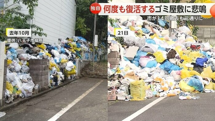 (左)2023年10月の様子 (右)2024年5月の様子