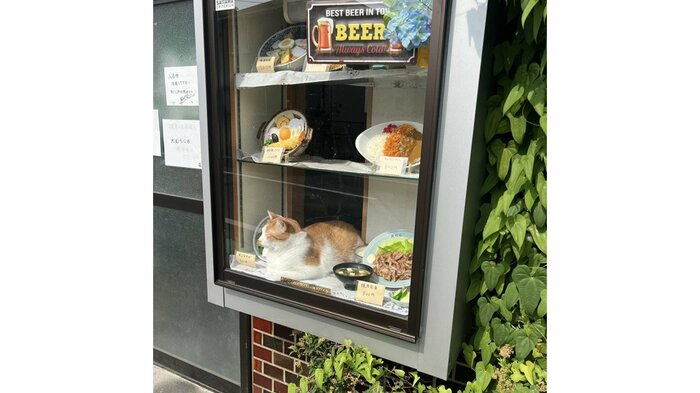 ケースの中でくつろいでいるように見える