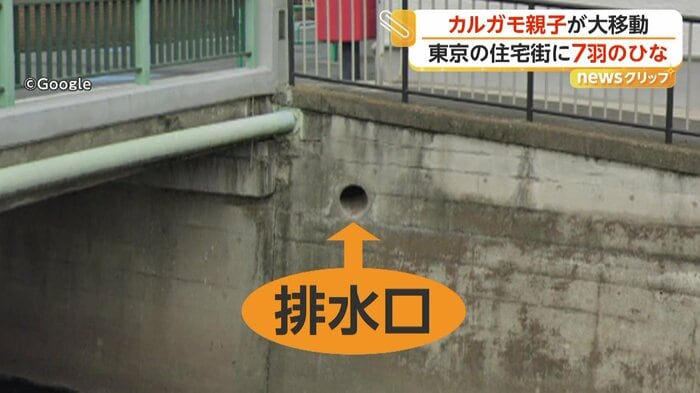 側溝から川につながっている排水口（©Google）
