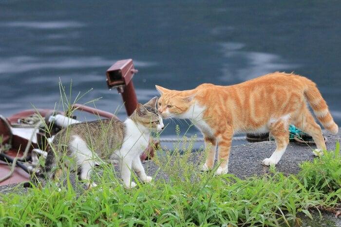 (画像はイメージ)