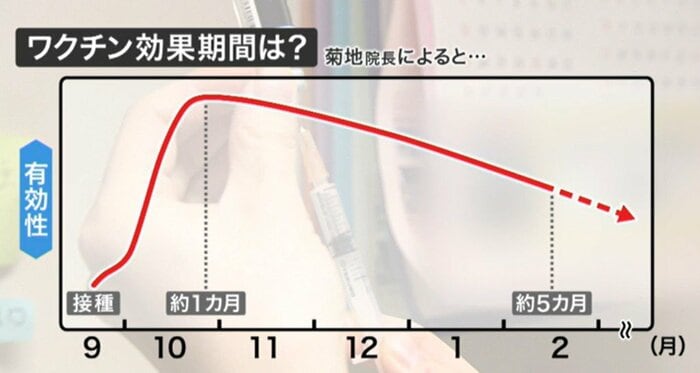 ワクチンの効果が有効な期間のイメージ
