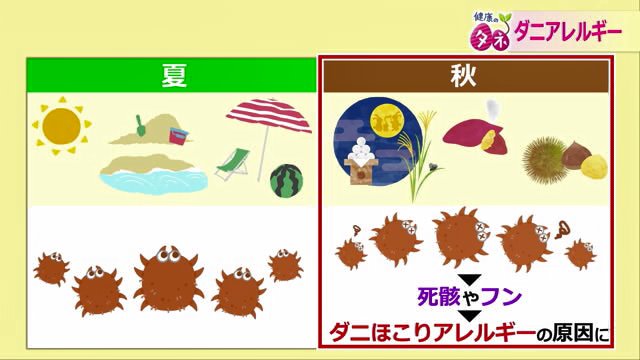 夏に繁殖したダニが、秋になって寒くなってくると死にアレルギーの原因に