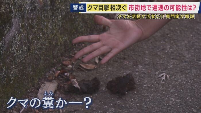 フン発見との情報