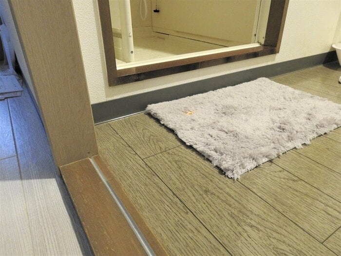 高温多湿な脱衣所などではシートの効果が小さくなる可能性も（イメージ）
