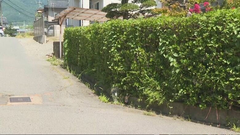 停車中の軽乗用車が後退し生垣に衝突…運転の女性（73）が死亡　後退中に身を乗り出し、車体と生垣に挟まれたか｜FNNプライムオンライン