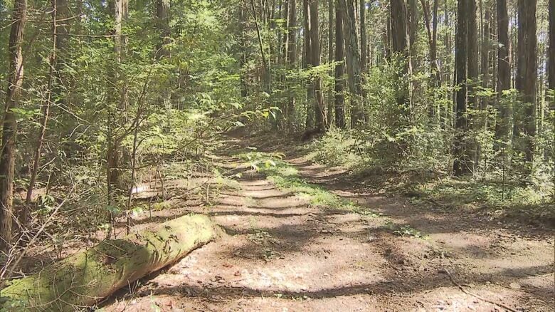 斜面を40mほど滑落か…山で林業の57歳男性が心肺停止状態で見つかり死亡 サカキの葉を採るため友人2人と入山｜FNNプライムオンライン