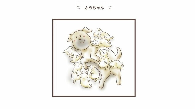 妊娠中に保護され8頭産んだママ犬「ふうちゃん」の母の意地と優しさ。犬や猫の保護活動をするtamtamさんの「家庭を知ってほしい」思い｜FNNプライムオンライン