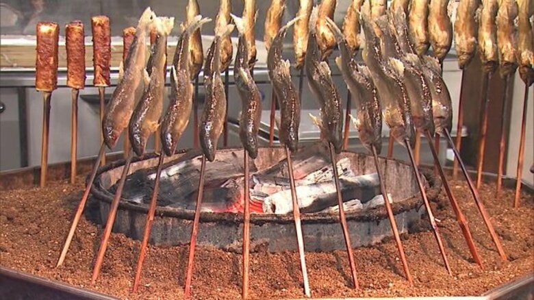 “白鷹の秋の味覚”名物・落ちアユ漁を前に期待と不安の声…猛暑により川の水温高く【山形発】｜FNNプライムオンライン