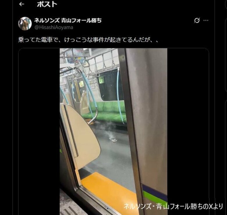ネルソンズ・青山フォール勝ちさんがモバイルバッテリー発火の現場に居合わせ…「けっこうな事件が」白煙上げる電車内映像も投稿 都営新宿線 |FNNプライムオンライン