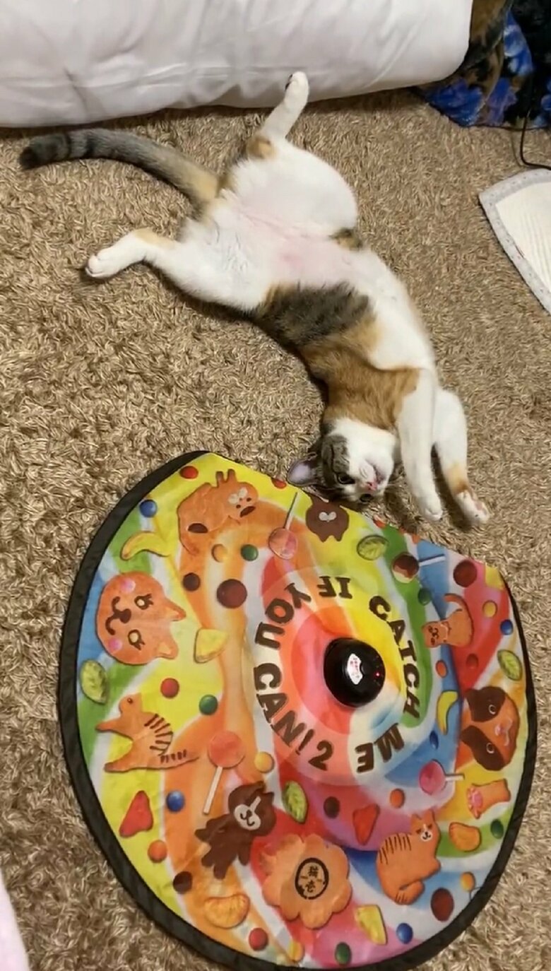 別のおもちゃで遊んでいるちぃちゃん