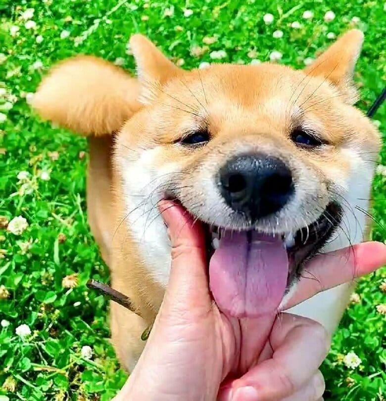 アゴのせ成功！