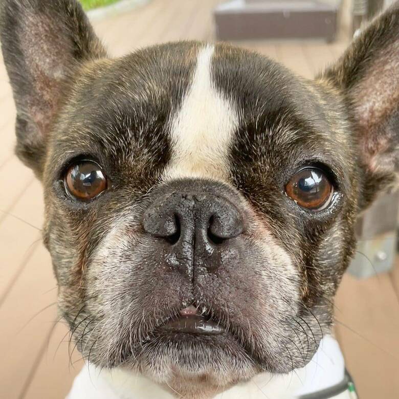 提供：丸男さん