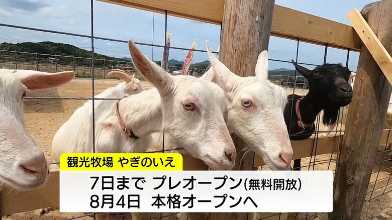 本格オープンへ…準備進む