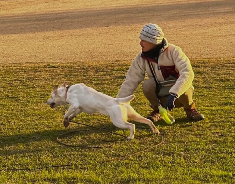 ディスクドッグ練習中