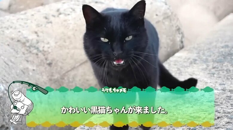 釣りをしていたところ黒ちゃんと出会った