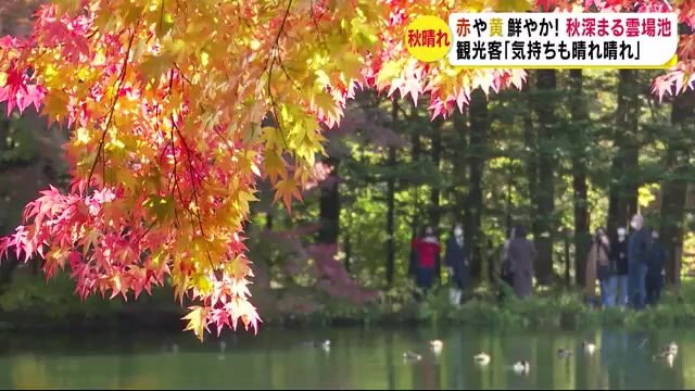 紅葉進む…色づく“雲場池” 観光客が秋の一日を満喫 「気持ちがスッキリ」 11月初旬がピークの見込み