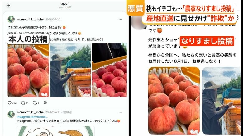 本物そっくりななりすまし投稿