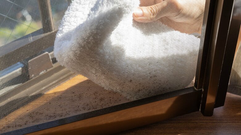 カビを見つけたら早めの掃除が大切（画像はイメージ）