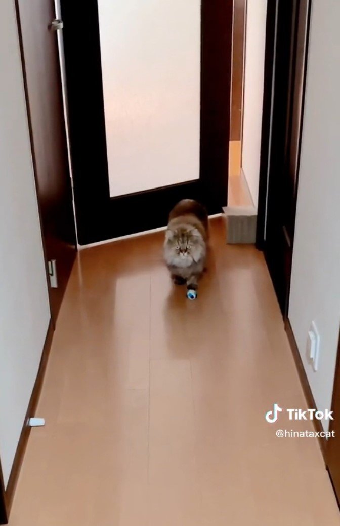 提供：ひなたさん