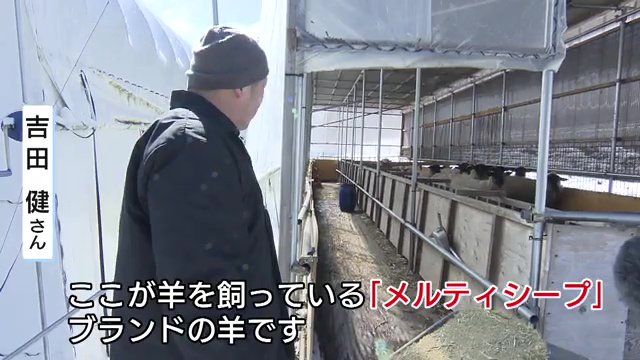 ブランド羊「メルティシープ」の肥育も始める