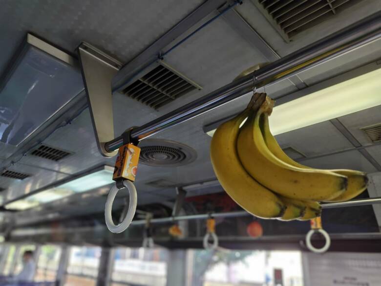 （画像：サンプルビレッジいわさき）