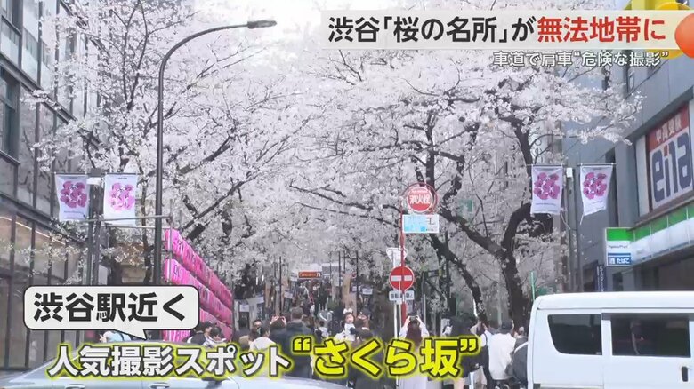渋谷駅近くの人気撮影スポット「さくら坂」