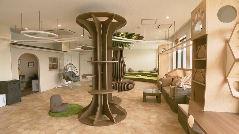 人とネコが共生できる空間めざし改装