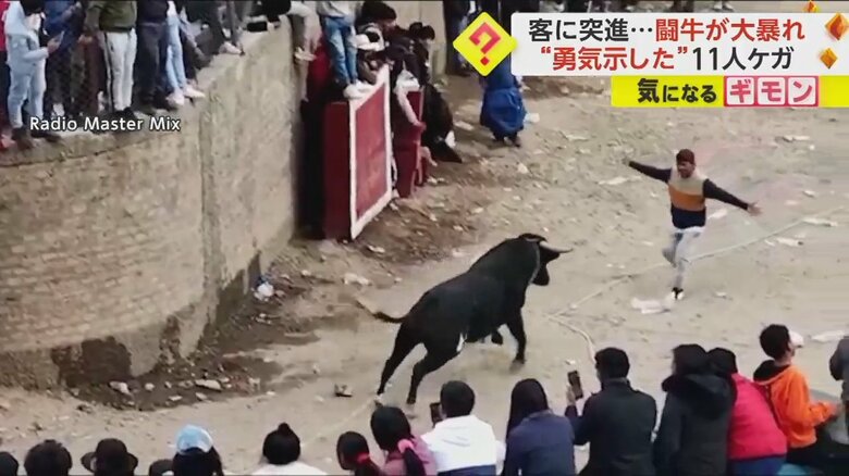 一騎打ちを挑んだ男性が、牛に突進される瞬間①