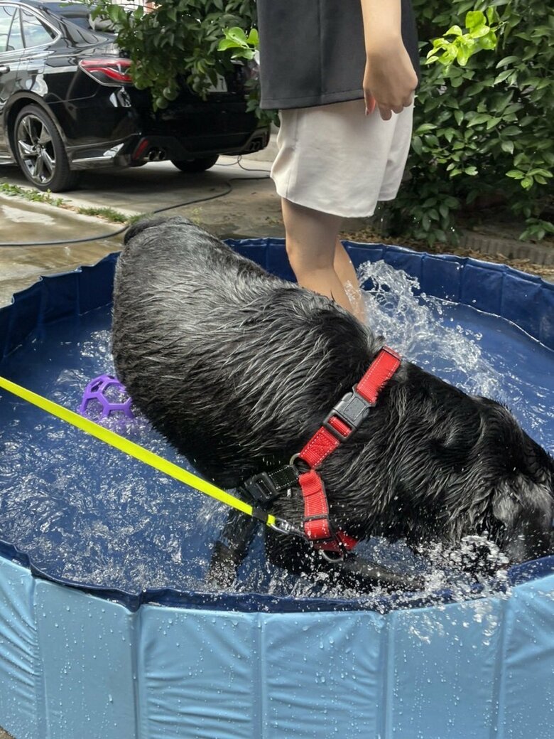 ザブザブと満喫していた（2022年撮影）