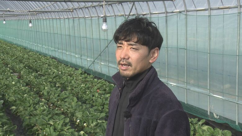 「あまおう」生産者 松永健治さん