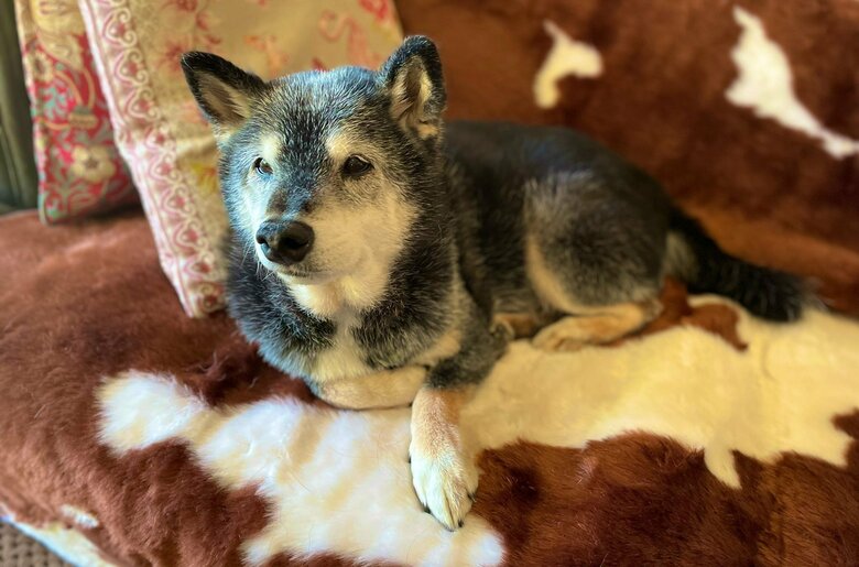 マイペースでおっとり。ビビりでもあるという