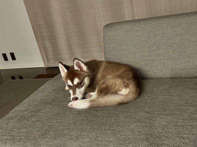 マリアンちゃんも"お兄ちゃん"と同じ場所が好き