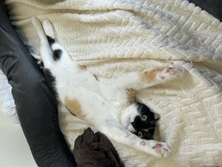 くつろぎの表情