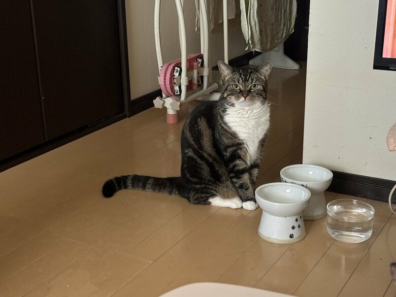 普段より少し遅れた…