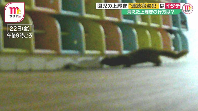 作戦変更後、イタチはGPS付き上履きを盗み出すも、途中で運ぶのをやめた