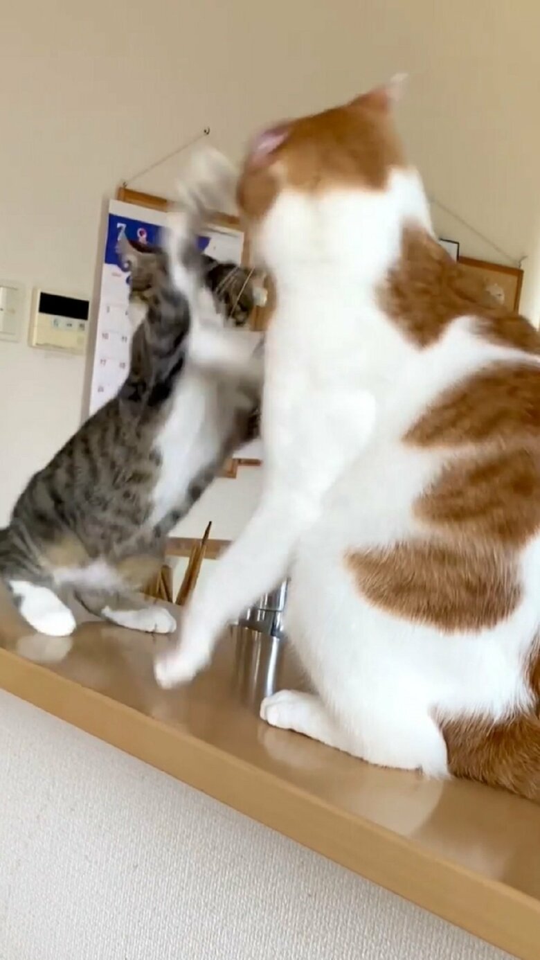 おりゃー！と再び仕掛ける大三くん
