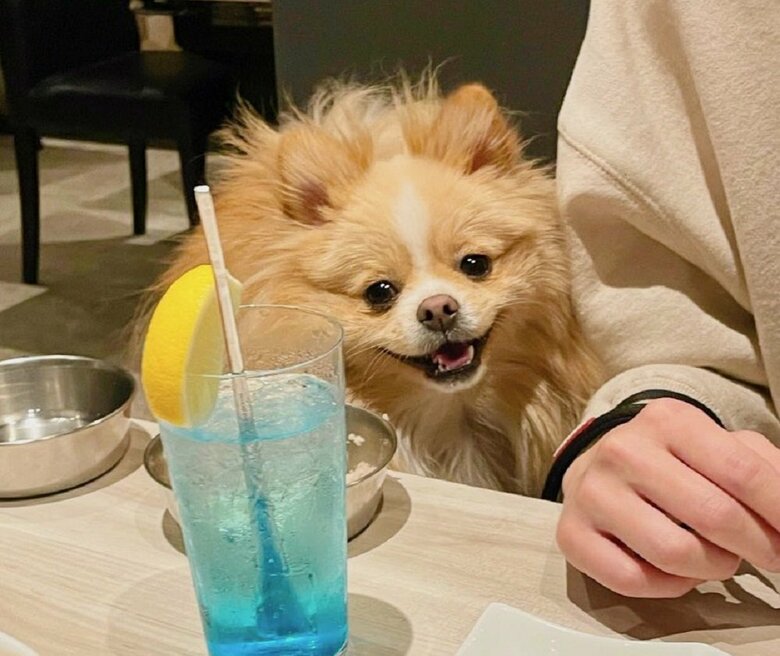 ご飯を食べ終わってにっこり