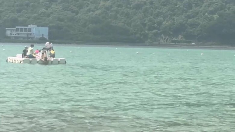 イルカが子どもを襲う一部始終⑱（全18枚）