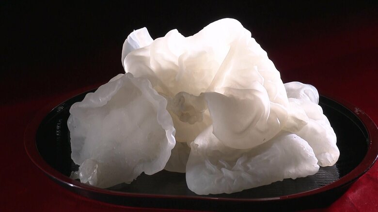 栄養素にも注目が集まっている「白いキクラゲ」