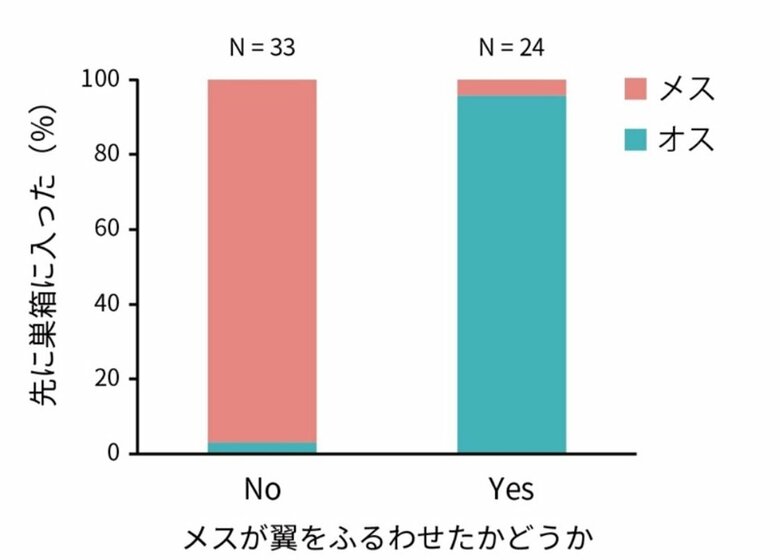 翼を使ったジェスチャーと巣箱に入る順序（画像提供：鈴木俊貴准教授）