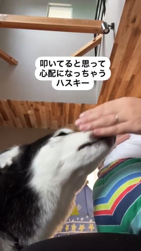 提供：akariさん