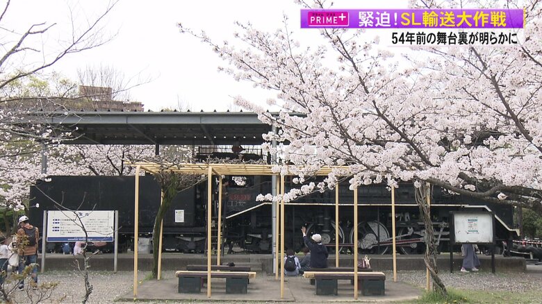 交通公園のSLは半世紀にわたり、子どもたちに親しまれている