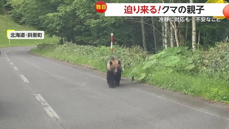 2mほどある親グマと後ろをついて歩く子グマ