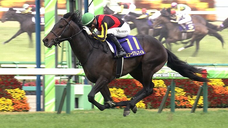 初コンビの皐月賞馬ミュージアムマイル