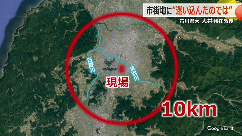 現場近くのクマが生息する山地（赤丸）