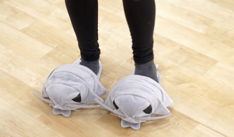 愛用の「ダイオウグソクムシ」のスリッパ