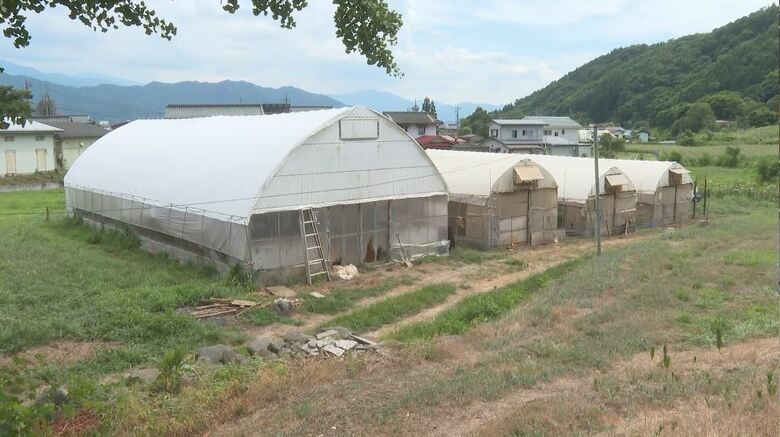 被害があった養鶏場