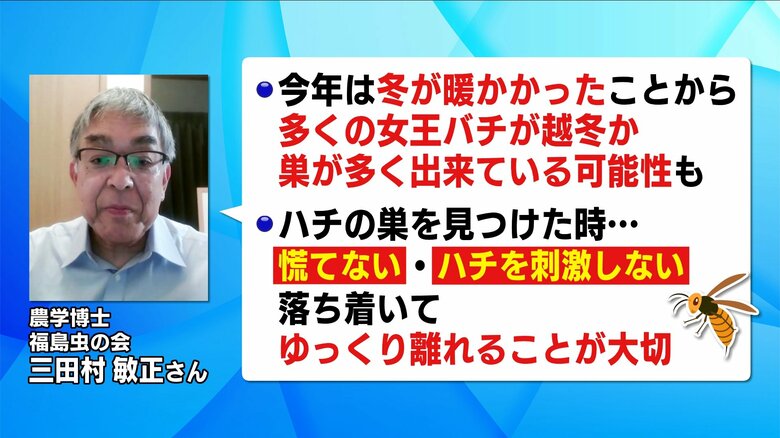 「福島虫の会」の三田村敏正さん